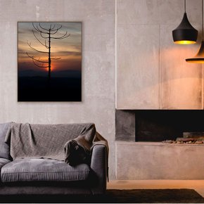 ft262tb-pinheiro-seco